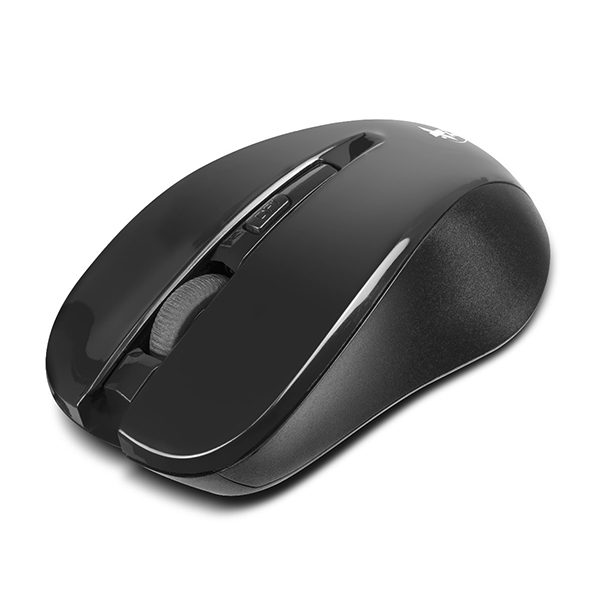Mouse inalámbrico Xtech XTM-300